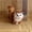 C, variant on A Natural White Realistic Cat Simulation Plush Toy For Kids Desktop Decoration