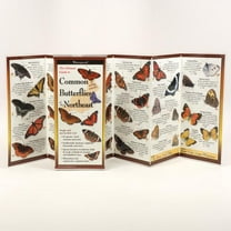 FoldingGuides: Common Butterflies of the Northeast (Other)