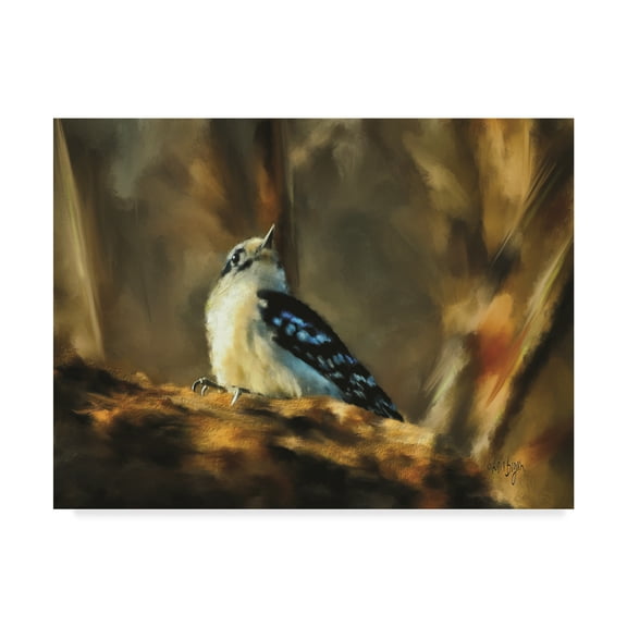 Trademark Fine Art 'Little Downy Woodpecker' Canvas Art by Lois Bryan