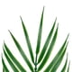 thumbnail image 5 of 10 hojas de palma artificiales Yuarrent verdes de bajo mantenimiento para interiores y exteriores A00264, 5 of 6