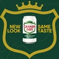 thumbnail image 4 of Canada Dry zero Ginger Ale 20 /pack 7.5 oz, 4 of 4