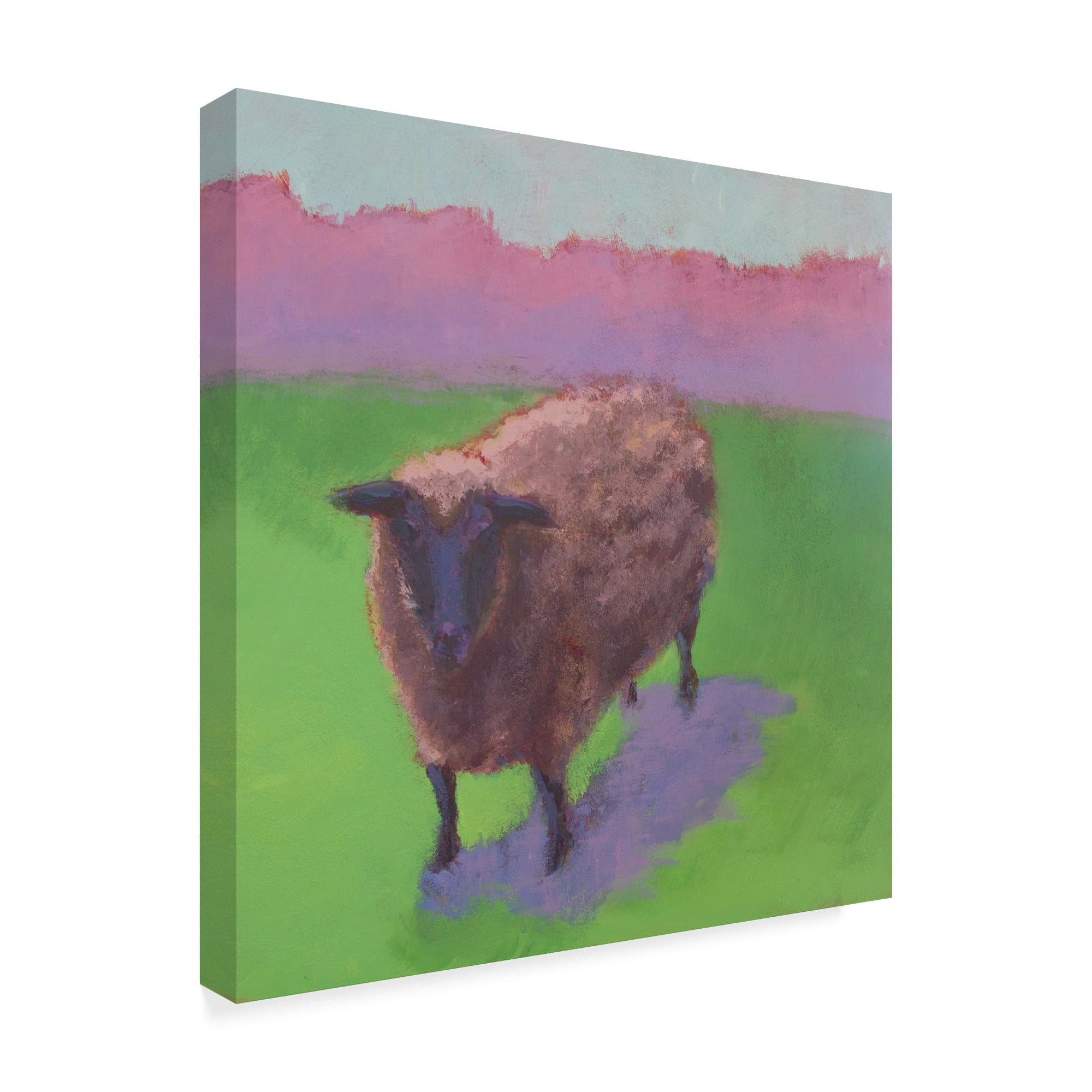 Trademark Fine Art 'Pasture Sheep' Canvas Art by Carol Young