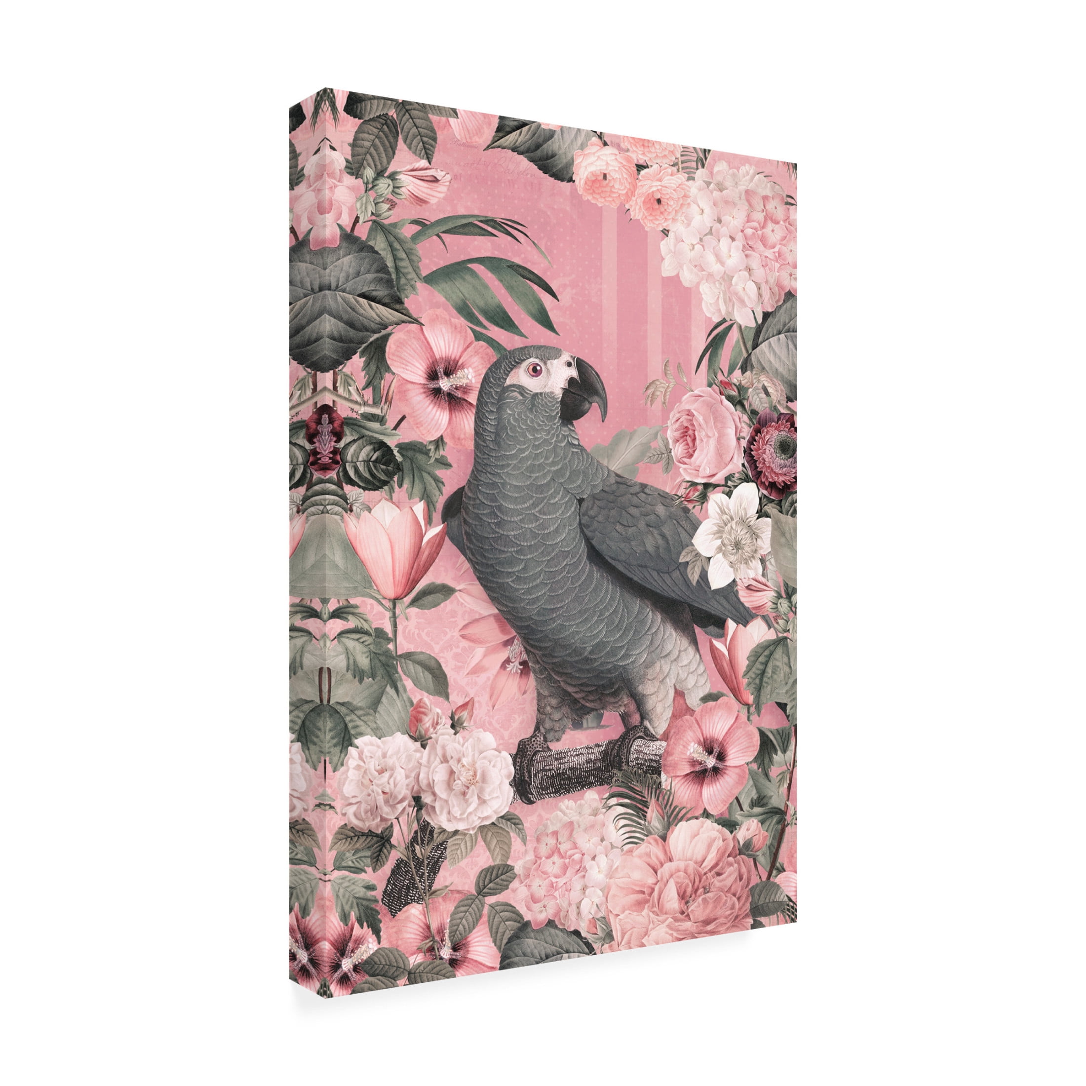 Trademark Fine Art Andrea Haase  The Parrots Paradise Garden 2 Pastel Pink Canvas Wall Art