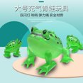 thumbnail image 2 of 现货网红PVC弹跳蛤蟆夜市地推闪光冲气乌龟儿童发光充气青蛙玩具as the picture Deng Xun unisex, 2 of 2