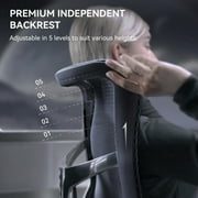 Sihoo S300 Ergonomic Desk Chair with Adjustable Lumbar, 6D Auto-Adjustable Armrests, High-Back Swivel Computer Chair for Adults, Black