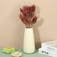 thumbnail image 4 of Uxcell 15.7in Bunny Tails Dried Flowers, 120pcs Pampas Grass Decor Rabbit Tail Natural Pampas Grass Bulk Fluffy Faux Pampas Grass Small Dried, Brown, 4 of 6