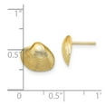 thumbnail image 2 of 14k Gold Clam Shell Post Earrings 9.1x11.1mm Wide Stud Earring for Women - 1.6 Grams, 2 of 2