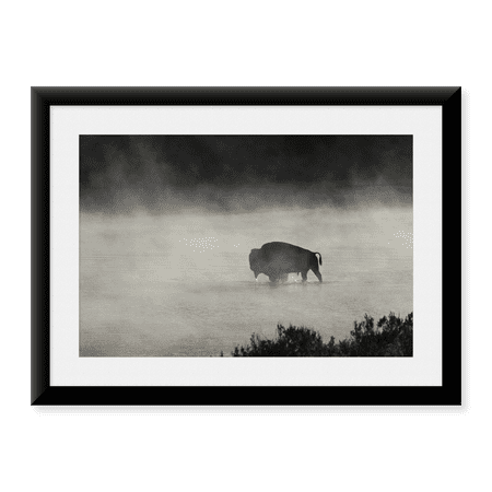 Framed Art Print, Bull Bison crossing Yellowstone River, Yellowstone National Park by Jim Peaco, 17-7/8" x 21-7/8"