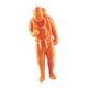 thumbnail image 2 of Resina 1/64 Figuras de escala 1/64 Modelo de escala Figuras de personas para decoración de la casa de muñecas estilo a, 2 of 9