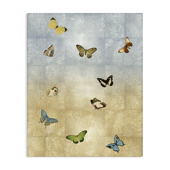 Stupell Industries Eclectic Various Butterfly Insect Pattern Canvas Art, 24 x 30, by Tina Blakely
