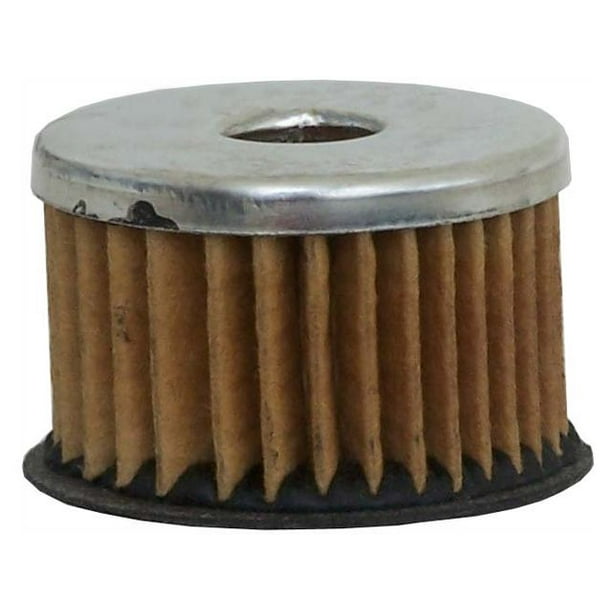 Fuel Filter Compatible with 1955 1960 Ford Thunderbird 1956 1957