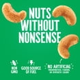 thumbnail image 6 of Emerald Nuts, Salt & Pepper Cashews, 100 Calorie Packs, 7 Ct, 4.34 oz (Pack of 8), 6 of 9
