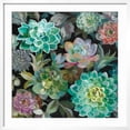 thumbnail image 2 of Art.com Floral Succulents v2 Crop Art Print by Danhui Nai, White Frame Wall Art, 29" x 29", 2 of 5