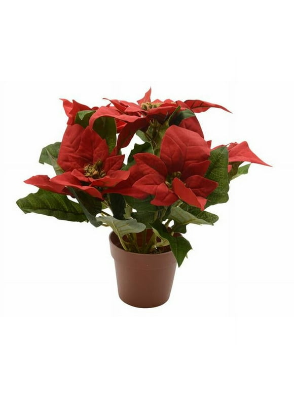 Poinsettias in Fresh Christmas Greenery