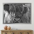 thumbnail image 3 of Designart 'Close Up Scottish Highland Cows Living On Moorland' Farmhouse Framed Art Print, 3 of 4