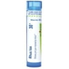 Boiron Rhus Tox 30C, Homeopathic Medicine for Joint Pain Improved By Motion, 80 Pellets
