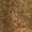 Brown Tree Camo, variant on SpongeBob SquarePants Men's & Big Men's Graphic Fleece Hoodie with Long Sleeves, Sizes S-3XL