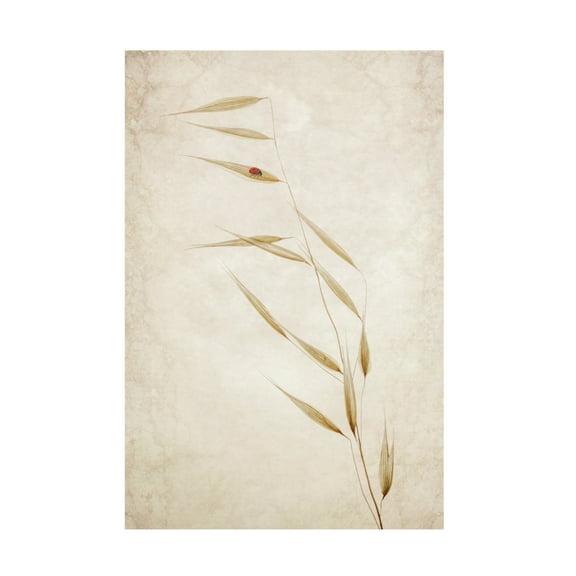Trademark Fine Art Cicek Kiral  The Tenant Canvas Wall Art