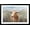 Black Frame, variant on Art.com Big Sky Longhorn Sunset Art Print by Danhui Nai, 24" x 16"
