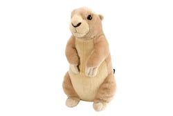 stuffed prairie dog