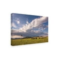thumbnail image 2 of Trademark Fine Art 'Windmill 6' Canvas Art by Dan Ballard, 2 of 3