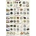 thumbnail image 3 of Picture Peddler Introduction to Rocks Geology Educational Science Classroom Chart Print Poster 24x36, 3 of 4