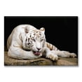 thumbnail image 1 of Cuadro Canvas Pixtreats Tipo Galería Tigre Descansando 60X90 cm, 1 of 4