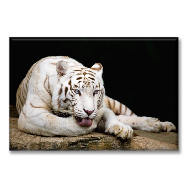 Cuadro Canvas Pixtreats Tipo Galería Tigre Descansando 60X90 cm