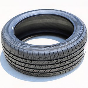 GT Radial Maxtour LX 245/45R18 100V XL a/s All Season Tire Sansujyuku sansujyuku.com