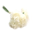 thumbnail image 1 of Flor de seda artificial Clavel 6 cabezas / ramo para la decoración del hogar del banquete de boda seitruly JJ7553-04, 1 of 2