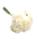 thumbnail image 1 of 6 cabezas / ramo de flores de seda artificial clavel para decoración de banquete de boda GeweYeeli JJ7553-04, 1 of 2
