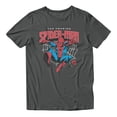 thumbnail image 2 of Marvel Comics Retro Spider-Man Old Fashioned Web Men's T Shirt (Charcoal, S-XXXL), 2 of 4