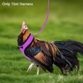 thumbnail image 5 of Pet Vest Elastic Training Hens Adjustable Strap With Leash Geese Chicken Harness, 5 of 5