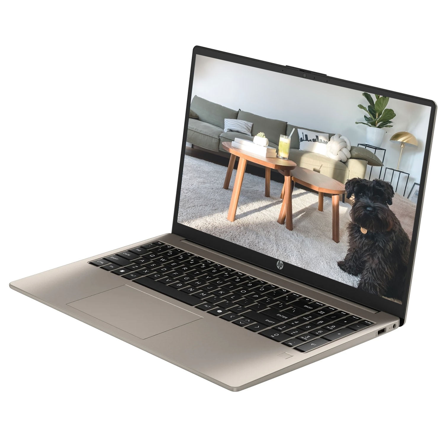 HP 15.6" FHD IPS Touchscreen Business Laptop Computer, Intel 8-Core i3-N305, 8GB DDR4 RAM 256GB SSD, Copilot AI, Fingerprint, Long Battery Life, Windows 11 Home