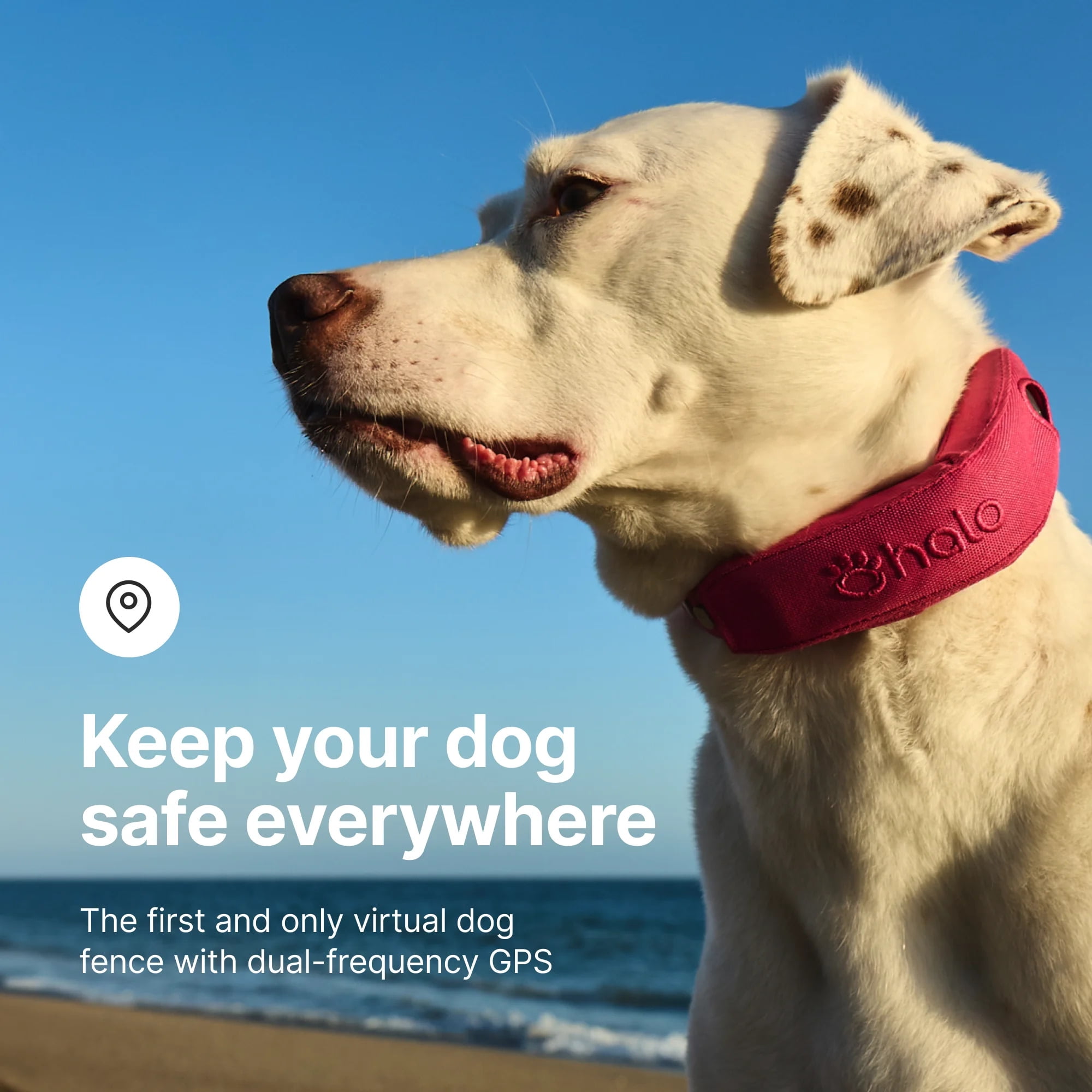 Halo Collar 4 Wireless Dog Fence System & GPS Dog Collar, One Size, Blaze