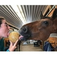 thumbnail image 7 of Uncle Jimmys 2 Pack Of Hanging Ball Apple Flavored Treats For Horses, 3 Pound Each, 7 of 7