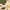 White, variant on COM1950s Mini Chopper Food Processor Electric Garlic Chopper Portable Mini Food Processor Wireless Vegetable Masher with Usb Charging Garlic Masher Mincer for Onions Meat Spices