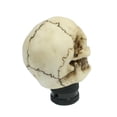 thumbnail image 4 of Unique Bargains Evil Skull Manual Gear Shift Knob Universal Stick Lever Shifter White, 4 of 4