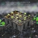 thumbnail image 4 of 12-Cell Seed Trays with Lids, 8-Pack Plastic Plant Propagation Kits for Seedlings, 4 of 5