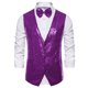 thumbnail image 5 of CHALECO BRILLANTE DE LENTEJUELAS DISCO PARA HOMBRES INSPIRADOS CON CORBATA DE MOÑO S PÚRPURA, 5 of 6