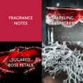 thumbnail image 2 of Perfume Christina Aguilera Xtina Fina Fragancia Bruma 240 ml, 2 of 4