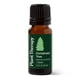 thumbnail image 1 of Árbol de Navidad con aceite esencial Plant Therapy, 10 ml (1/3 fl.oz), 1 of 8