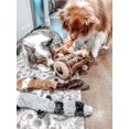 thumbnail image 3 of Pet Dog Toy Plush Bite Molar Toy, Fox, Raccoon and Squirrel, 3-Pack, 3 of 3