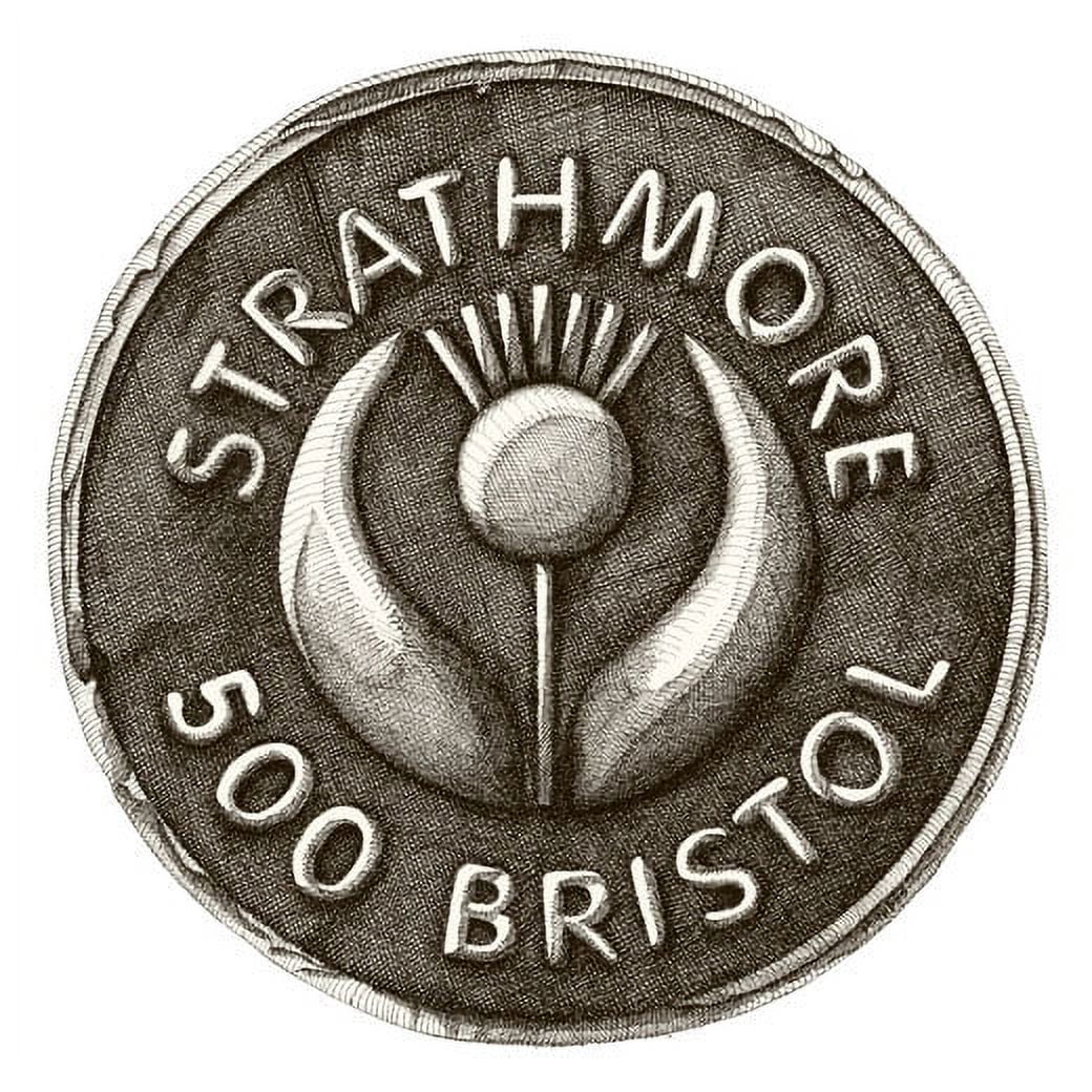 Strathmore Bristol Paper Pad, 500 Series, 11" x 14", Plate