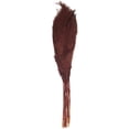 thumbnail image 5 of 43" Dried Plant Natural Foliage Pampas Grass Bouquet with Long Stems, by DecMode, 5 of 7