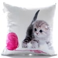 thumbnail image 1 of Gouchee Design Coussin BABY CAT, 1 of 1