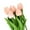 Peach pink, variant on 5 Heads Artificial Tulips Flowers Real Touch Arrangement Bouquet for Home Room Office Party Wedding Decoration, Excellent Gift Idea for Mothers Day