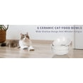 thumbnail image 6 of 6 PCS Cat Bowls,Cat Food Bowl,Anti Whisker Fatigue Ceramic Cats Dishes for Indoor Cats,Shallow Wide Kitten Plates for Wet & Dry Food and Water,Non-Slip Silicone Base (classic cat elements), 6 of 8