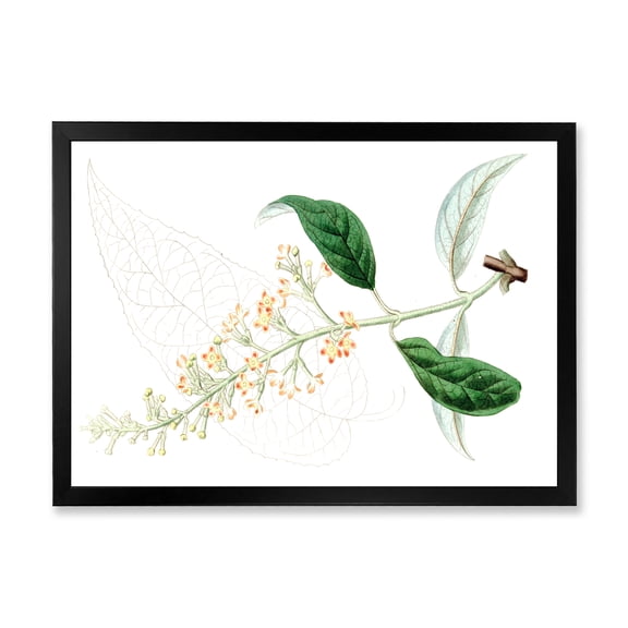 Designart 'Ancient Plant Life XXVII' Traditional Framed Art Print