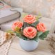 thumbnail image 5 of Ramo decorativo de flores secas artificiales,simulación de flores,decoración de interiores,decoración floral de plástico para sala de estar, 5 of 6